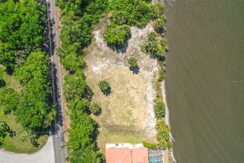Land in Ormond Beach, Florida № 1723954 - photo 8