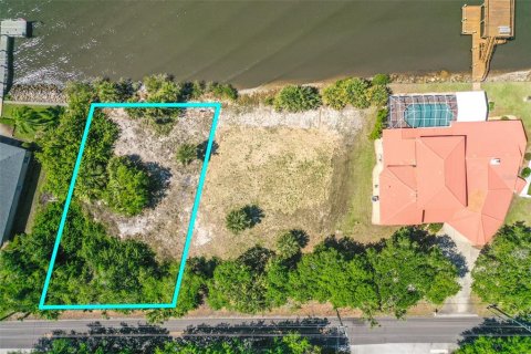 Land in Ormond Beach, Florida № 1723954 - photo 3