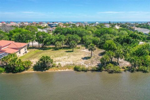 Land in Ormond Beach, Florida № 1723954 - photo 14