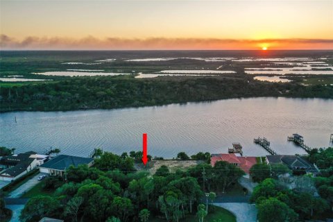 Land in Ormond Beach, Florida № 1723954 - photo 17