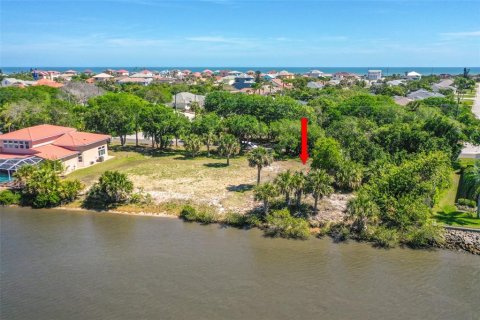 Land in Ormond Beach, Florida № 1723954 - photo 10