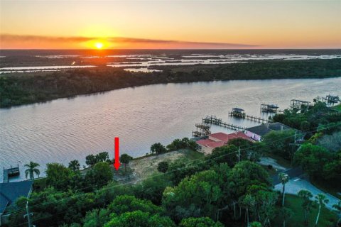 Land in Ormond Beach, Florida № 1723954 - photo 12