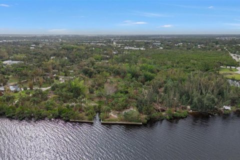 Land in Punta Gorda, Florida № 1428872 - photo 22