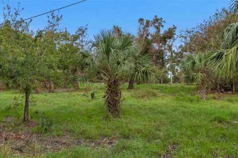Land in Punta Gorda, Florida № 1428872 - photo 5
