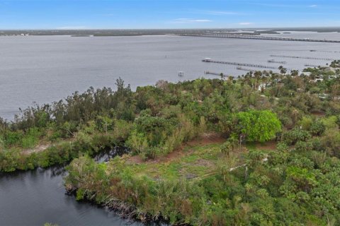 Land in Punta Gorda, Florida № 1428872 - photo 10