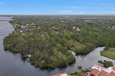 Land in Punta Gorda, Florida № 1428872 - photo 16