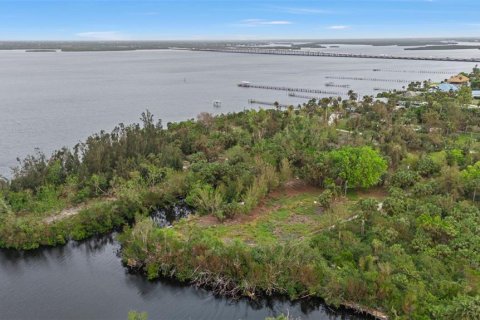 Land in Punta Gorda, Florida № 1428872 - photo 11