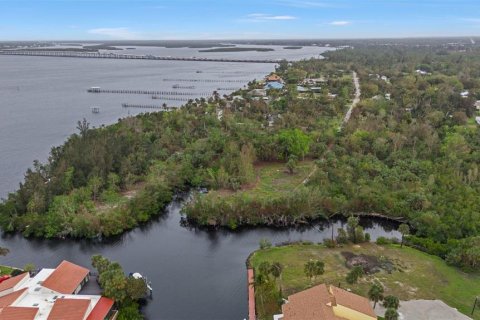 Land in Punta Gorda, Florida № 1428872 - photo 13
