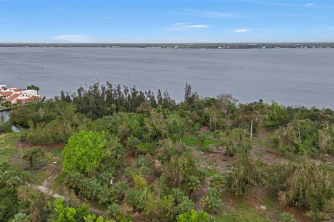 Land in Punta Gorda, Florida № 1428872 - photo 8