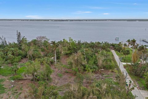 Land in Punta Gorda, Florida № 1428872 - photo 7