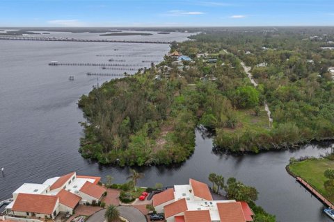 Land in Punta Gorda, Florida № 1428872 - photo 14