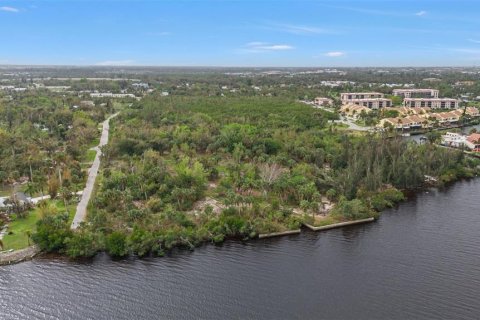 Land in Punta Gorda, Florida № 1428872 - photo 25