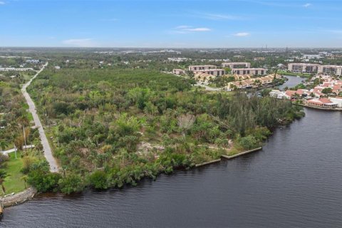 Land in Punta Gorda, Florida № 1428872 - photo 27