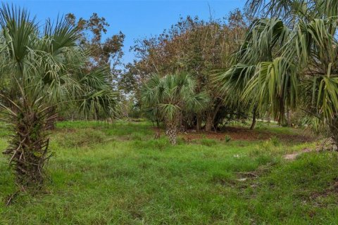 Land in Punta Gorda, Florida № 1428872 - photo 6