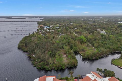 Land in Punta Gorda, Florida № 1428872 - photo 15