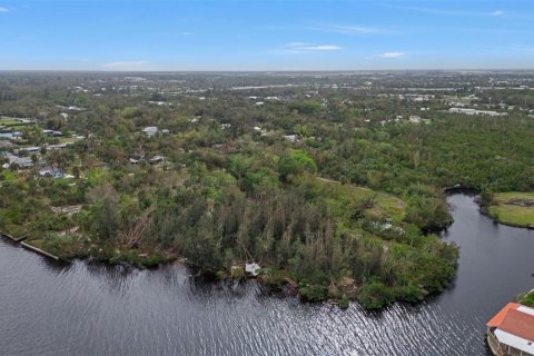 Land in Punta Gorda, Florida № 1428872 - photo 18