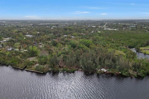 Land in Punta Gorda, Florida № 1428872 - photo 20