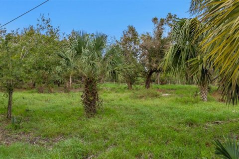 Land in Punta Gorda, Florida № 1428872 - photo 4