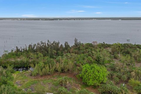 Land in Punta Gorda, Florida № 1428872 - photo 9