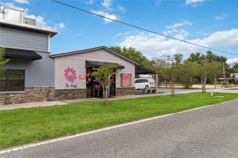 Immobilier commercial à vendre à Montverde, Floride: 236.62 m2 № 2096492 - photo 5