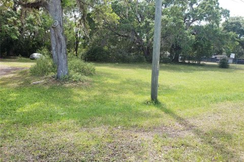 Terreno en venta en Mount Dora, Florida № 1679569 - foto 1