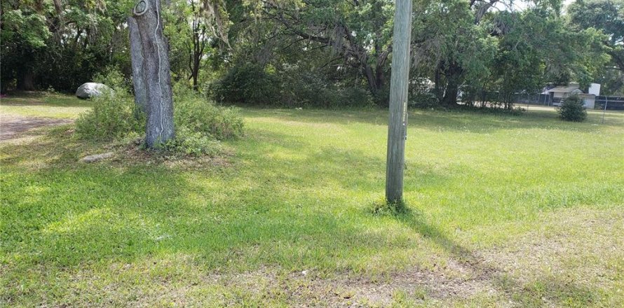 Terreno en Mount Dora, Florida № 1679569