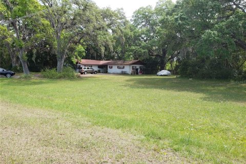 Terreno en venta en Mount Dora, Florida № 1679569 - foto 3