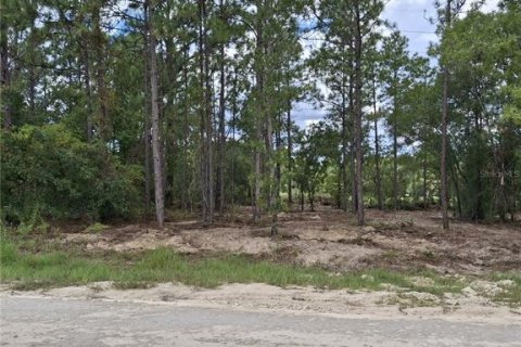 Land in Weeki Wachee, Florida № 2351502