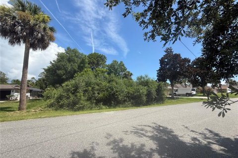 Land in Palm Coast, Florida № 1818902 - photo 1