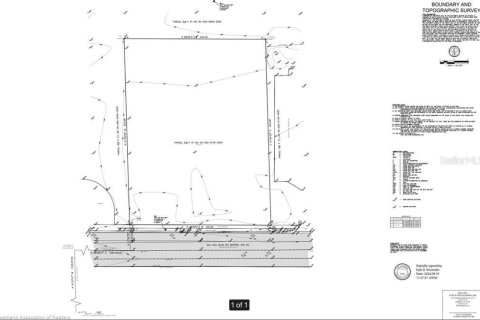 Land in Lake Placid, Florida № 2199214 - photo 7