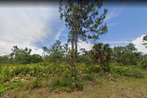 Land in Port Charlotte, Florida № 2160978