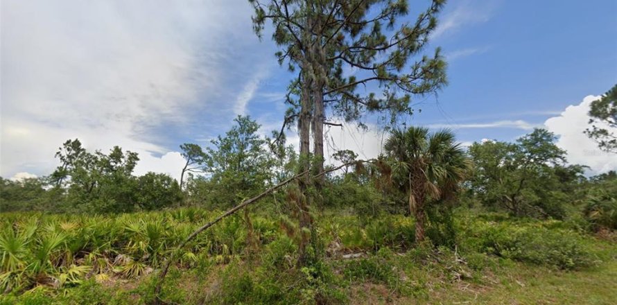 Land in Port Charlotte, Florida № 2160978