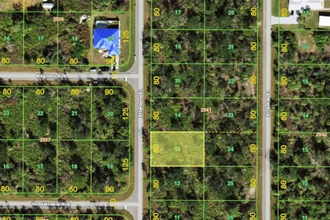 Land in Port Charlotte, Florida № 2160978 - photo 3