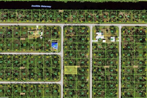 Land in Port Charlotte, Florida № 2160978 - photo 2