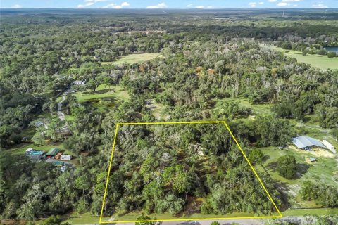 Villa ou maison à Webster, Floride 2 chambres, 127.37 m2 № 2143125
