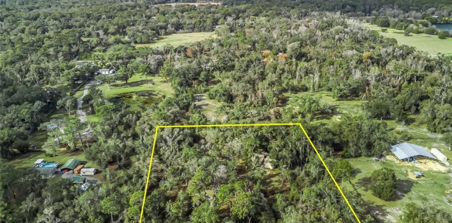 Villa ou maison à Webster, Floride 2 chambres, 127.37 m2 № 2143125