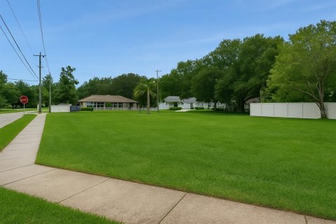 Land in Tampa, Florida № 1835472 - photo 1