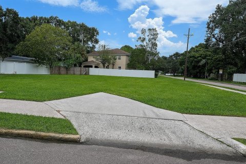 Land in Tampa, Florida № 1835472 - photo 5