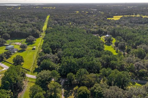 Terrain à vendre à Reddick, Floride № 1910742 - photo 8