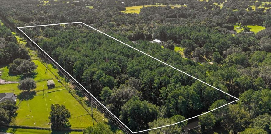 Terreno en Reddick, Florida № 1910742