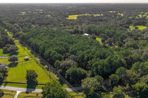Terrain à vendre à Reddick, Floride № 1910742 - photo 3