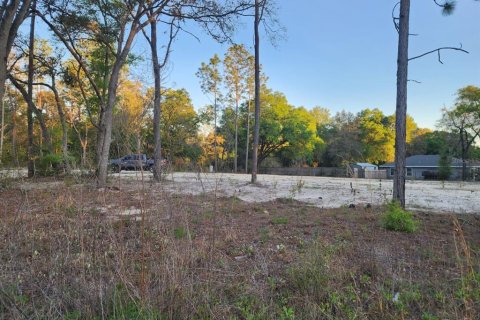 Terrain à Dunnellon, Floride № 2159129