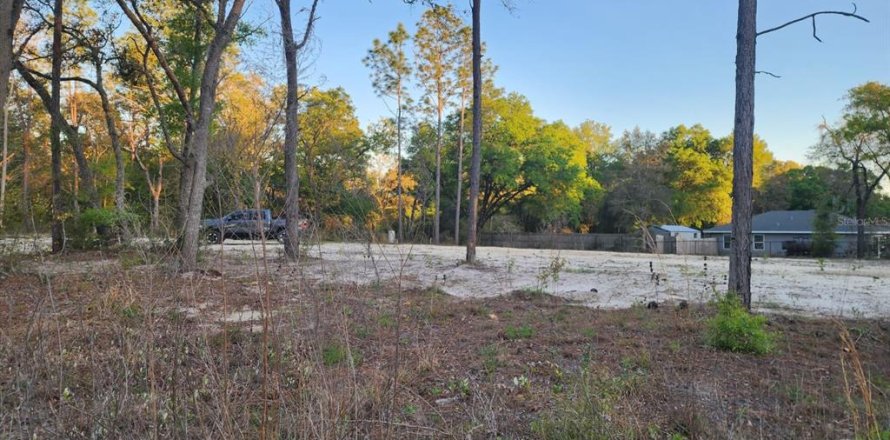 Terrain à Dunnellon, Floride № 2159129