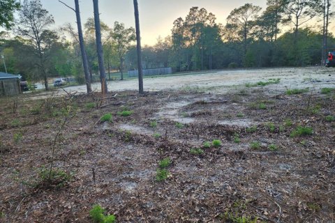 Terrain à vendre à Dunnellon, Floride № 2159129 - photo 6