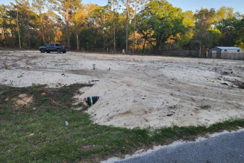 Terrain à vendre à Dunnellon, Floride № 2159129 - photo 3