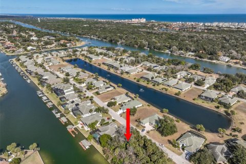 Land in Palm Coast, Florida № 2108982 - photo 8