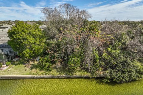 Land in Palm Coast, Florida № 2108982 - photo 3