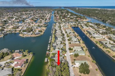Land in Palm Coast, Florida № 2108982 - photo 9