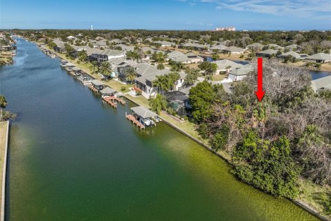 Land in Palm Coast, Florida № 2108982 - photo 5