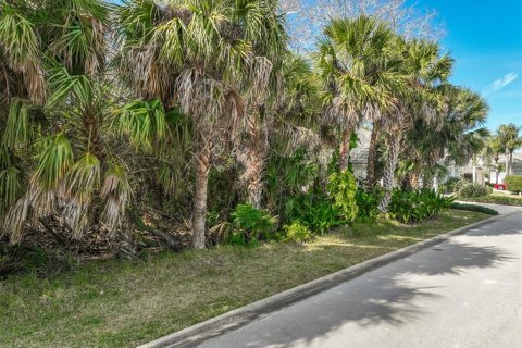 Land in Palm Coast, Florida № 2108982 - photo 20